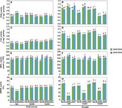 Foliar spray of silica improved water stress tolerance in rice (Oryza sativa L.) cultivars